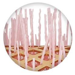 Olivia Garden NanoThermic Ceramic & Ion Round Thermal Limited Edition BCA - Image 5